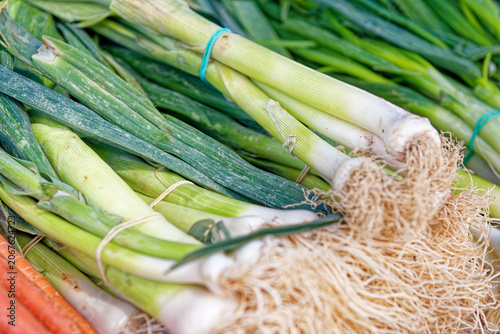 Fresh bunches of British spring onion