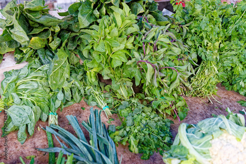 Vibrant display of fresh, leafy green herbs and vegetables