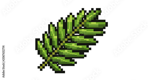 Green leaf branch with leaves.