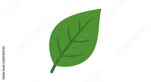 Green leaf illustration with stem.