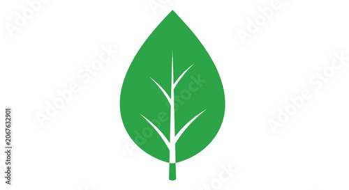 Green leaf with white veins.