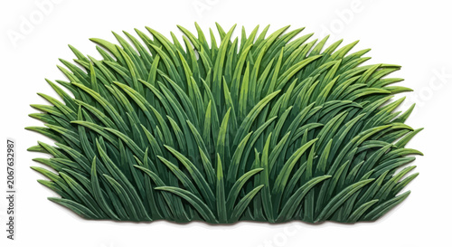 Green grass bunch natural lawn texture.