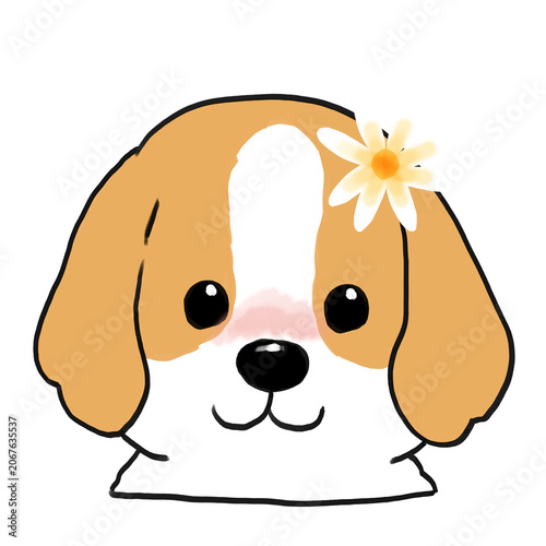 Cute Puppy with Daisy Flower