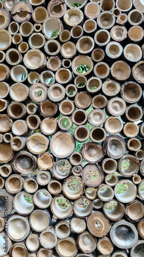 фотографія An arrangement of bamboo stem sections cut crosswise and stacked tightly in a vertical orientation, creating a decorative wall structure or partition