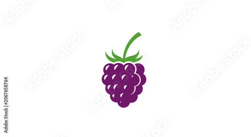 purple raspberry vector illustration