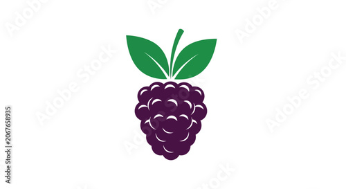 Raspberry fruit icon vector illustration