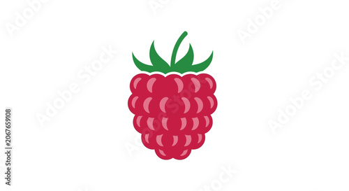 Raspberry fruit vector illustration
