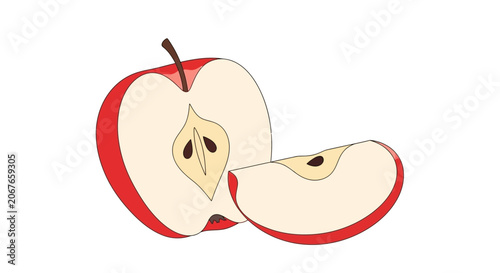 Red apple sliced in half showing core and seeds vector illustration