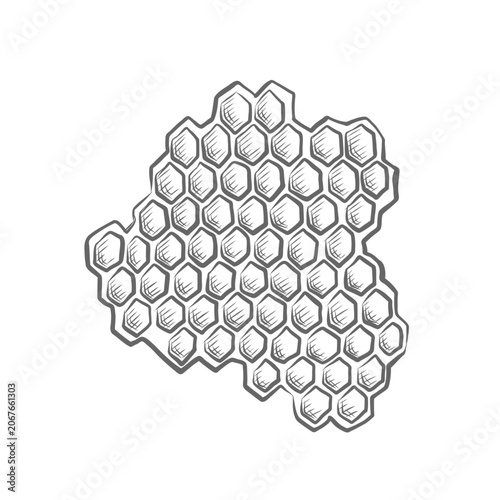 Foto Honeycombs vector graphic illustrations for foodstuffs packaging