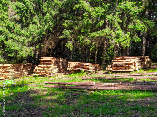 Stacked Timber and Logs Near the Forest