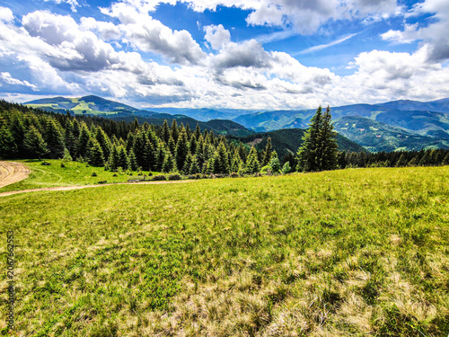 Expansive Mountain Meadow and Forest Panorama