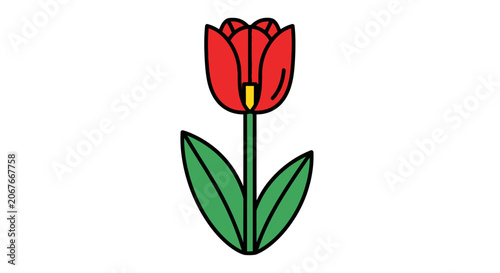 Red Tulip Flower with Green Leaves.