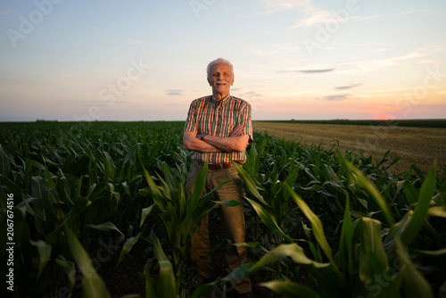 An elderly man stands with crossed arms in a cornfield during sunset. The sky shows colors of orange and pink as daytime ends. Rows of corn surround him under clear skies.