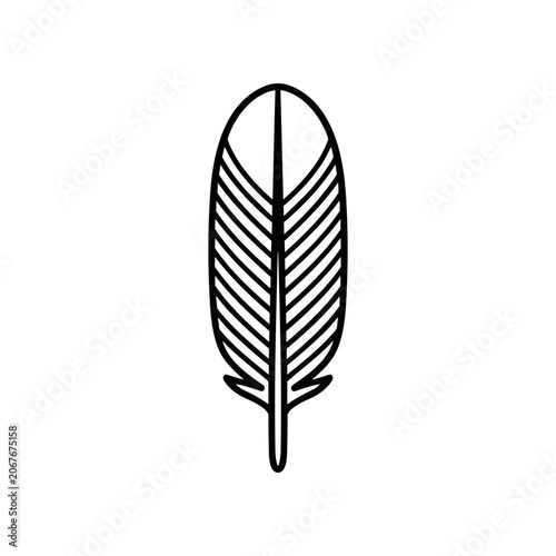 Fotografija Detailed illustration of a single feather.