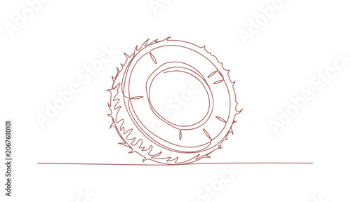 Coconut outline drawing suitable for educational and activity pages.