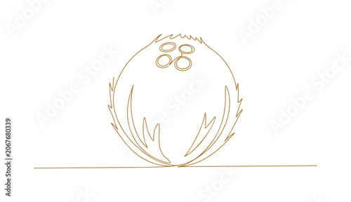 coconut fruit icon with clean, easy-to-color lines.
