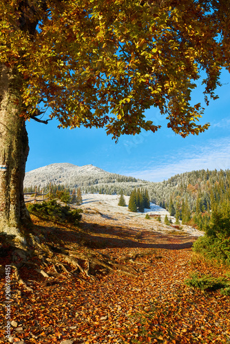 Colorful autumn landscape in the mountain village.