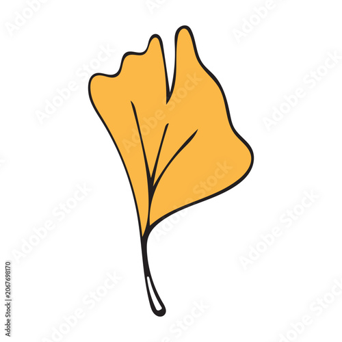 Vector illustration of a yellow ginkgo leaf. Stylized single Ginkgo biloba leaf in bright yellow with bold black outlines. 