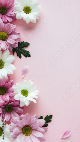 Delicate Pink and White Daisies on Pastel Background.