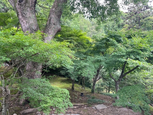 Tofukuji Temple in Kyoto, Japan