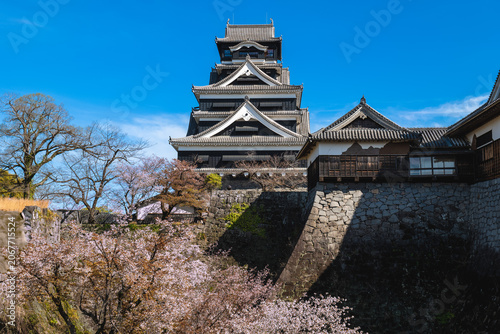 Tenshu of Kumamoto castle in kumamoto city, kyushu, japan