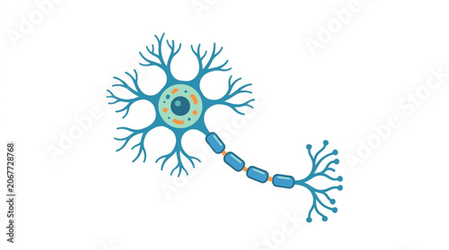 Photos Illustration of a biological neuron cell structure with dendrites and axon