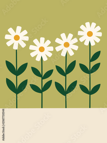 White Daisy Flowers on Green Background