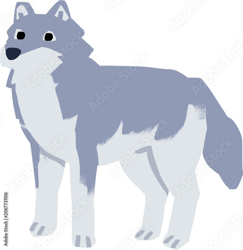 Photography 늑대,wolf