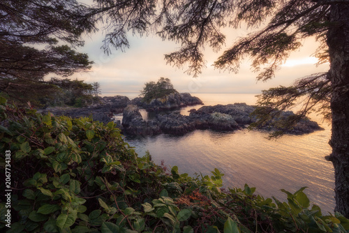 Rugged Pacific coastline at sunset, Wild Pacific Trail, Ucluelet, Vancouver Island