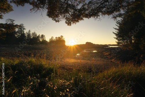 Sunburst over a wild beach at sunset, Ucluelet, Vancouver Island, British Columbia