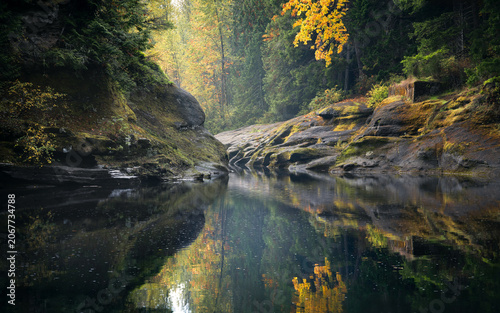 Calm river pool with autumn foliage reflections, Englishman River, Vancouver Island