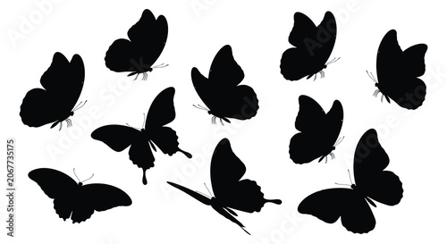 Bilde på lerret Black Butterfly Silhouettes On White Background Collection Of Insect Shapes