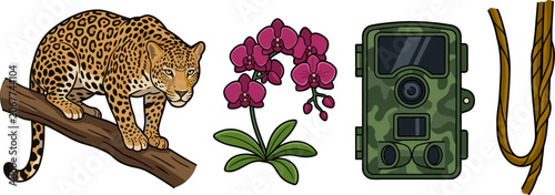 Flat Vector Icon Set Featuring a Leopard on a Tree Branch Magenta Orchid Flower Camouflage Trail Camera and Jungle Vine Liana for Wildlife Research Designs