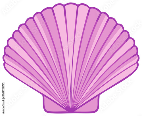 Decorative purple shell illustration vector design