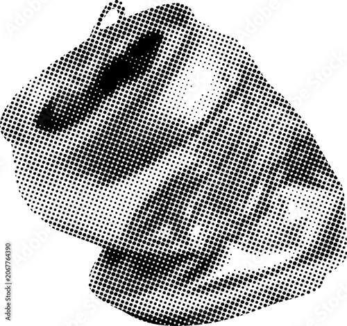 Fotografie Recycling and waste concept with halftone pattern crushed dented open tin alumin