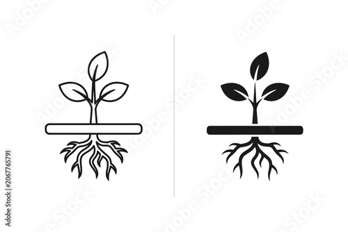 Plant sprout with roots, line and solid vector illustration