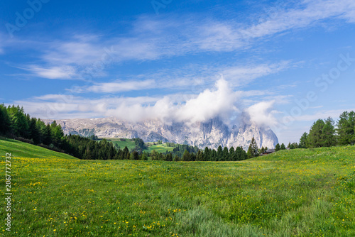 Tableau sur toile Dolomites mountains at Seiser Alm with lush Green plateau , South Tyrol, Italy,