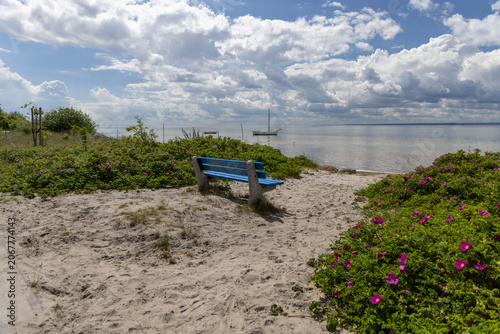 Empty blue bench by EuroVelo 10 R10 bike path on sand dunes on Hel Peninsula, Poland