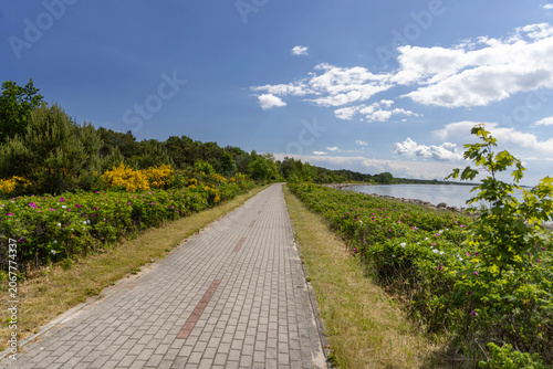 EuroVelo 10 ( R10) bicycle path on Hel Peninsula near Baltic Sea coast, Poland