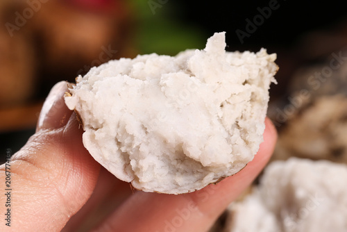 Картината върху платно Fresh Peeled Taro Root in Hand, Guangxi Vegetables
