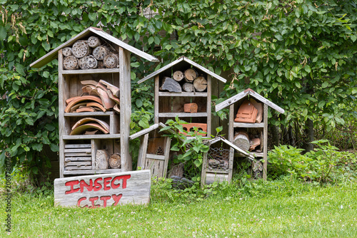 Insect hotel in a rustic garden: wooden bee hotel and wildlife habitat labeled Insect City