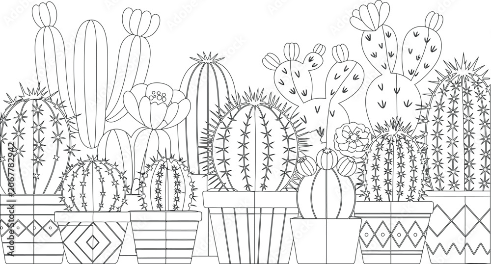 Obraz premium Diverse collection of potted cacti and succulents in various decorative planters showcasing desert flora