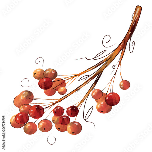 Cuadro en lienzo Watercolor autumn berry branch illustration