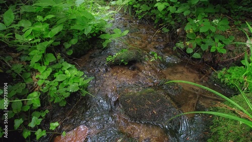 Fresh water of a forest stream flowing on rocks in slow motion and surrounded by beautiful green vegetation in soft light