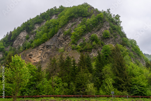 Steep limestone outcrop covered by European beech, Norway spruce and mixed woodland vegetation dominates the mountain landscape. Exposed rock formations contrast with lush spring forest growth.