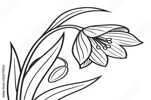 coloring page line art the moon daisy flower black vector