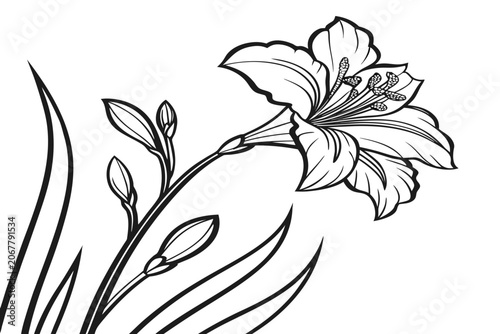 coloring page line art the moon daisy flower black vector