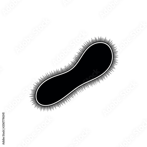 Tablou pe pânză Escherichia coli bacteria cell structure.