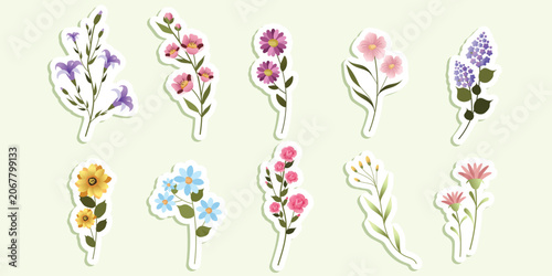 Cute Floral Sticker Collection with Colorful Wildflowers and Botanical Elements