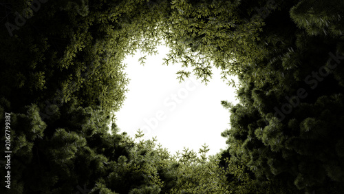 Sunlight filters through the branches of tall trees in a forest, creating a bright spot surrounded by dark green leaves. scene shows a vibrant canopy above with sunlight below. 3d render